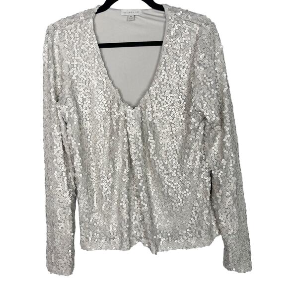 Allison Joy Medium M Light Gray Nina Matte Sequin V Neck Long Sleeve Blouse Top - Picture 1 of 11
